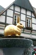 Blumenhase